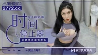 MDX0238-02